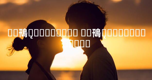 ��鳵ƽ̨�۸���ϸ�� ��鳵ƽ̨�۸���ϸ������